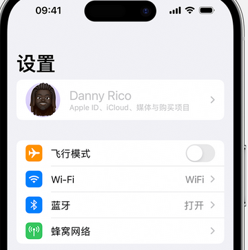 浦北appleID维修服务iPhone设置中Apple ID显示为灰色无法使用 