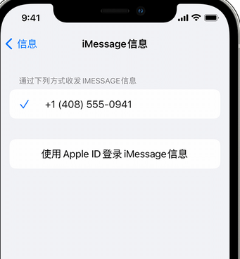 浦北apple维修iPhone上无法正常发送iMessage信息 