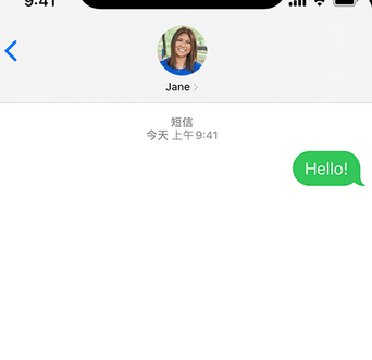 浦北apple维修iPhone上无法正常发送iMessage信息