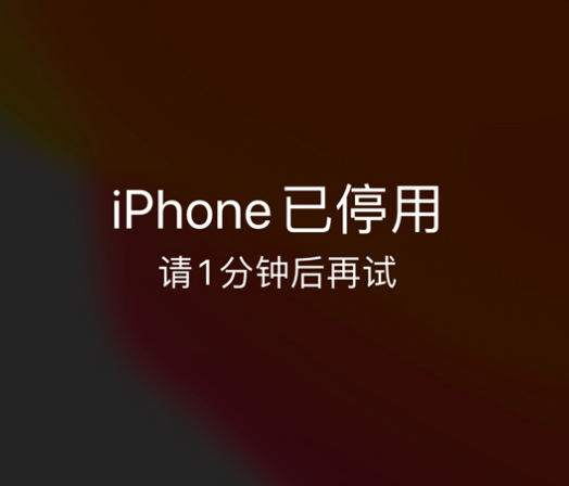 浦北苹果手机维修分享:iPhone 显示“不可用”或“已停用”怎么办？还能保留数据吗？ 