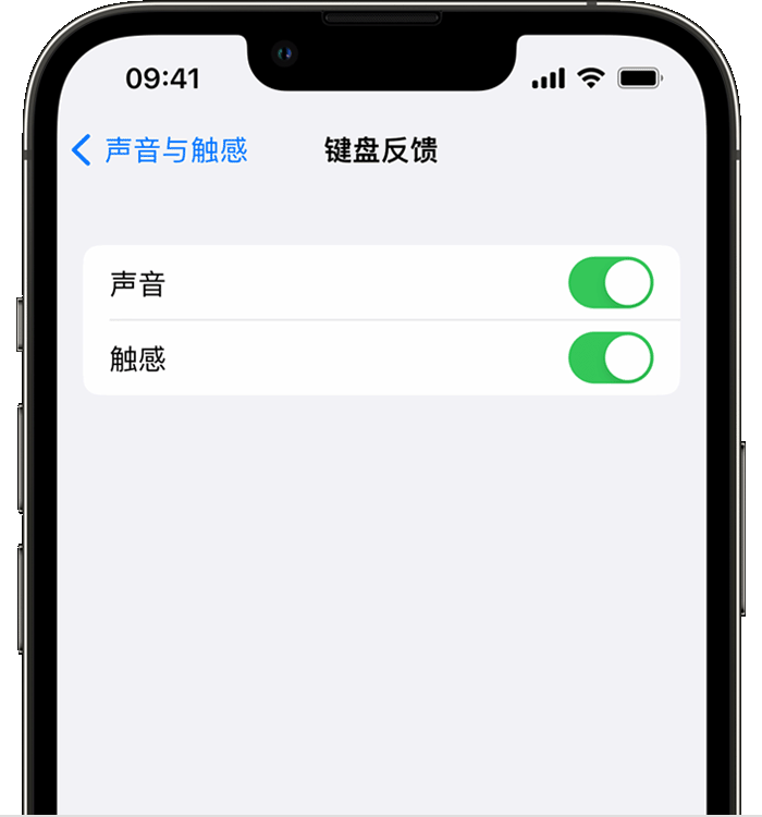 浦北苹果14维修店分享如何在 iPhone 14 机型中使用触感键盘 