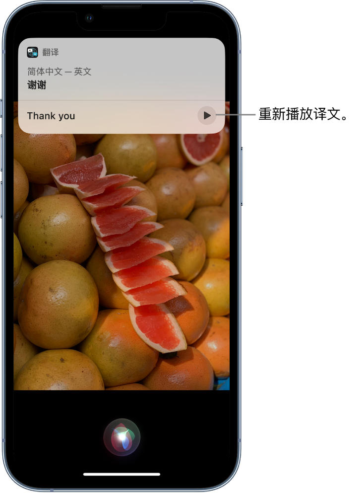 浦北苹果14维修分享 iPhone 14 机型中使用 Siri：了解 Siri 能帮你做什么 