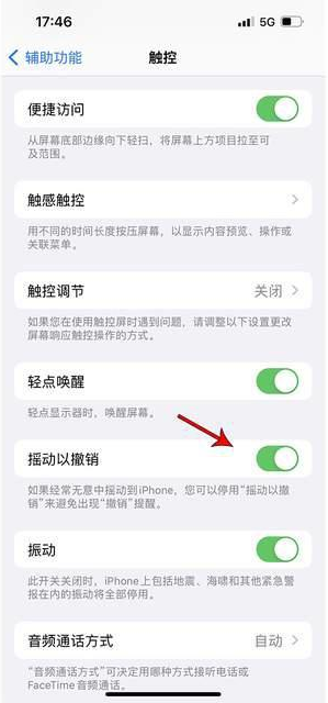 浦北苹果手机维修分享iPhone手机如何设置摇一摇删除文字 